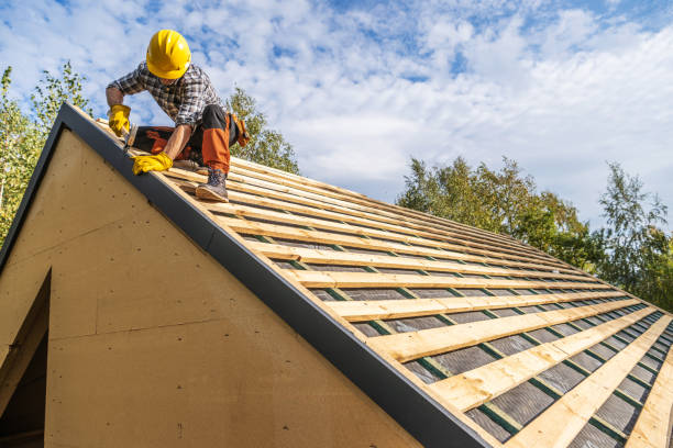 Roof Gutter Cleaning in North East, MD